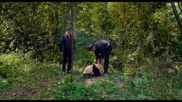 Free download PANDAS - OFFICIAL TRAILER [HD] video and edit with RedcoolMedia movie maker MovieStudio video editor online and AudioStudio audio editor onlin